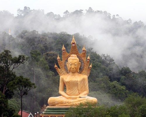 LA ROUTE DES TEMPLES OUBLIES PHUKET